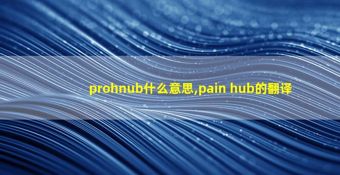 prohnub什么意思,pain hub的翻译